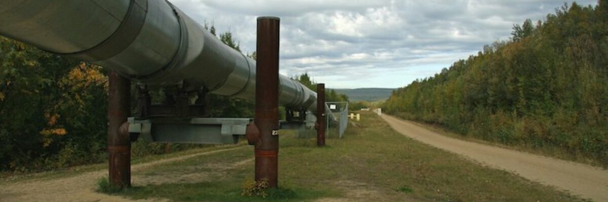 An above-ground pipeline running through a wooded area; cloudy skies.