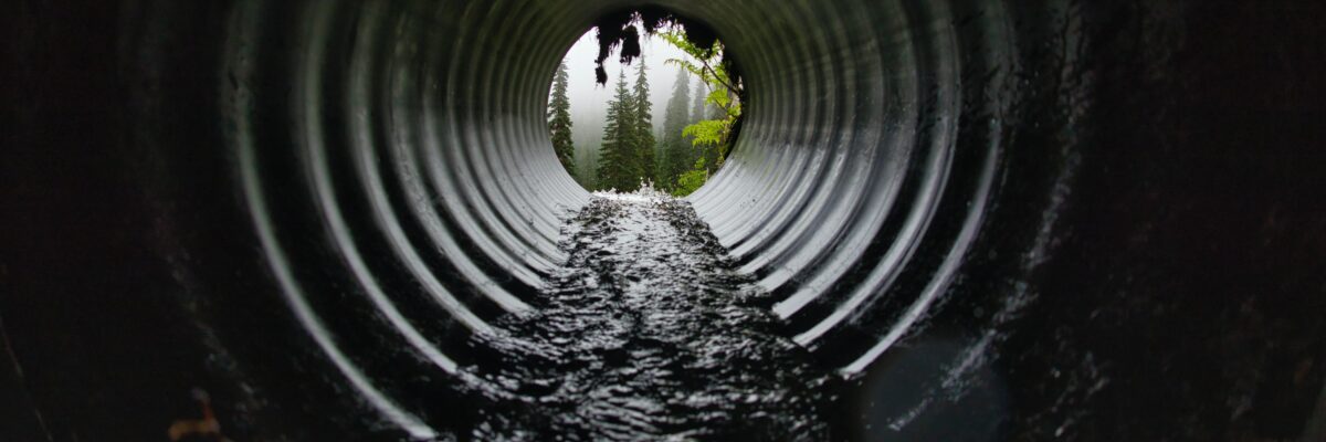 A shot from inside a pipe, with water streaming out of it, being released into a forest of evergreen trees.