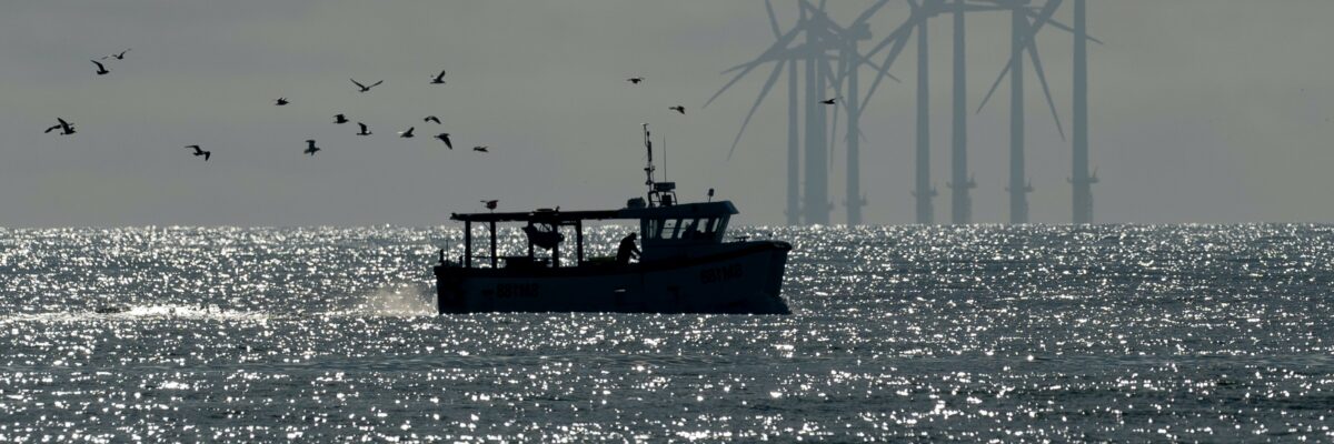 A fishing boat sits in calm, sparkling waters, surrounded by flocking birds; in the hazy distance sit several large offshore wind turbines.