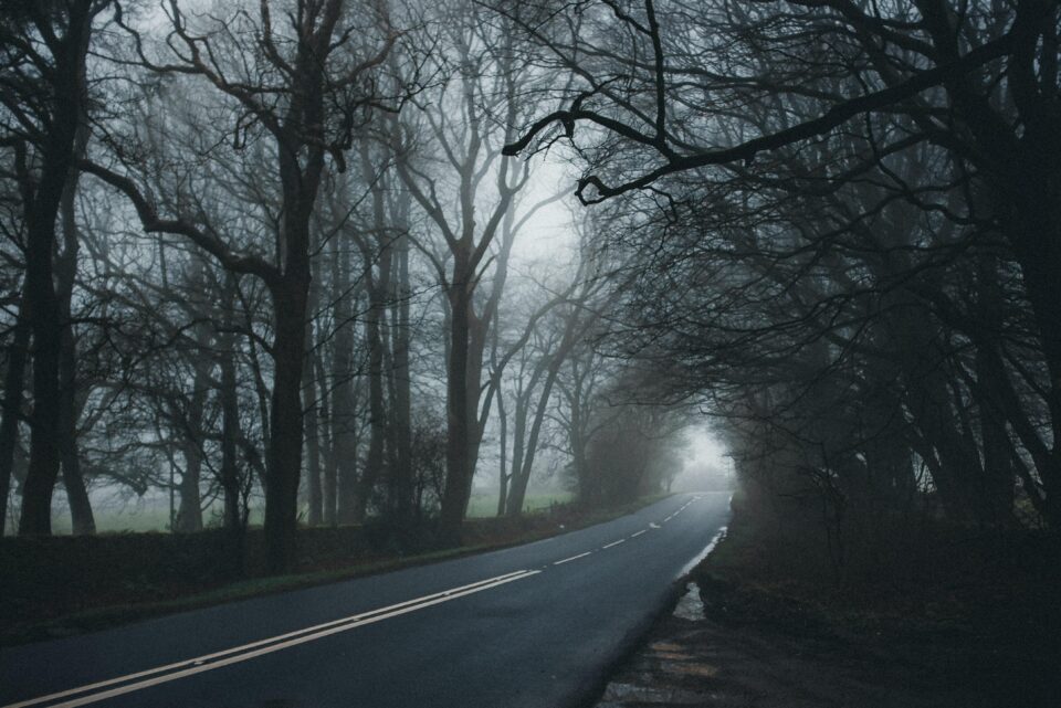 A spooky road leading into a foggy forest.