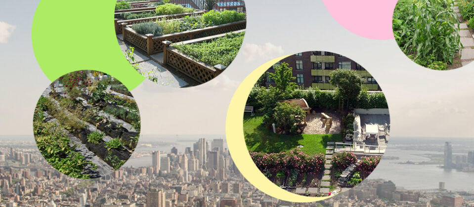 A city, with circular images of urban gardens and agricultural spaces floating above the skyline.