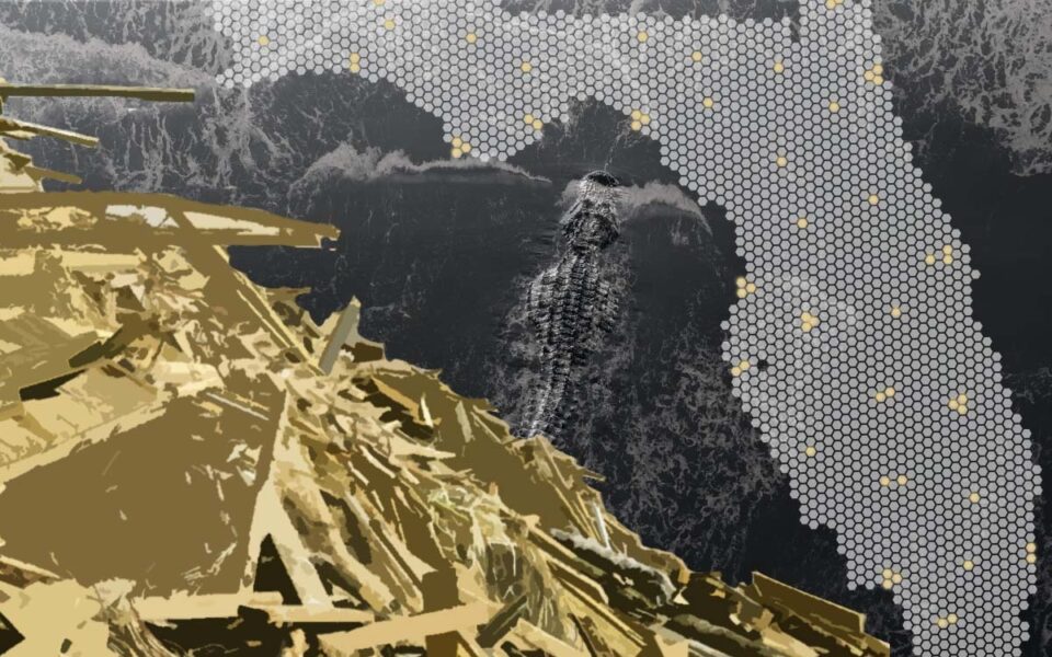 A posterized black, white, grey, and gold graphic showing a pile of debris in the foreground, an map of Florida made of many small white hexagons in the midground, and an alligator swimming through water in the background.