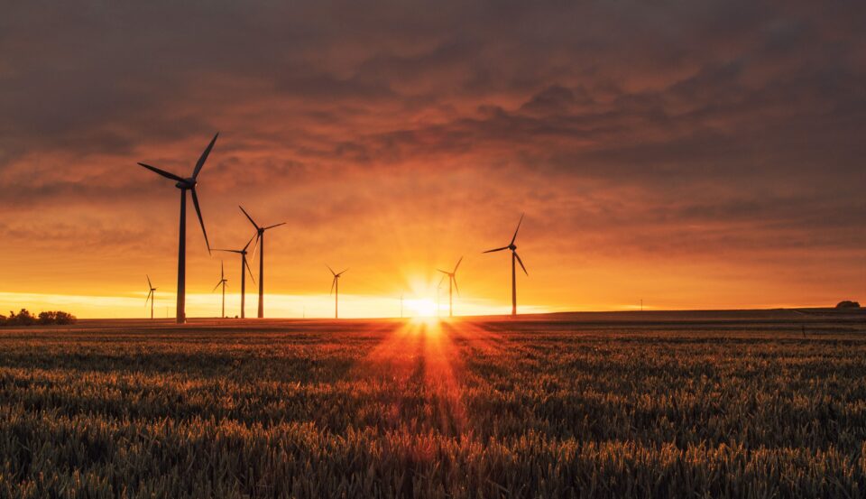 Wind turbines in a grassy field viewed at sunset