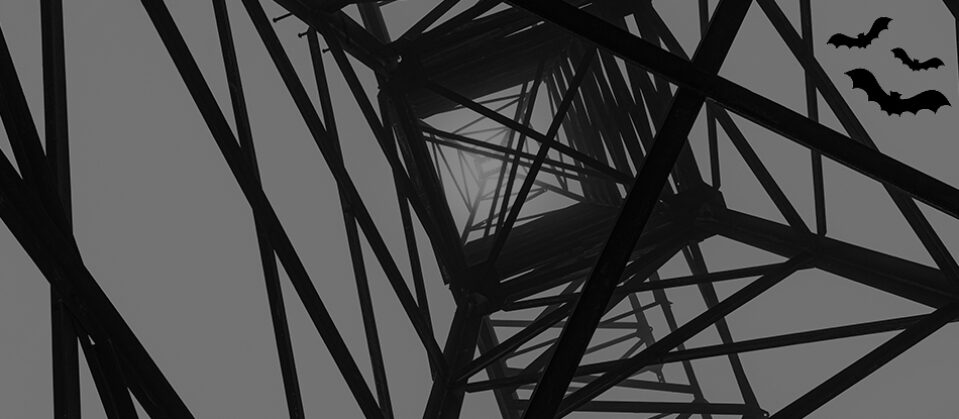 A spooky illustration of a transmission tower viewed from the bottom, looking like a spider web, and 3 bats flying around.
