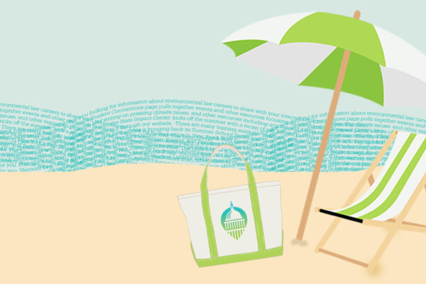 A green and white striped beach chair and an umbrella; a tote bag with the State Impact Center logo; the waves in the background are words