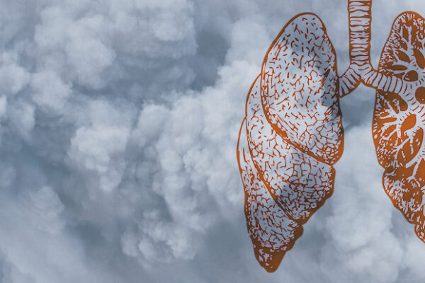 An illustration of lungs overlaid on clouds of smog