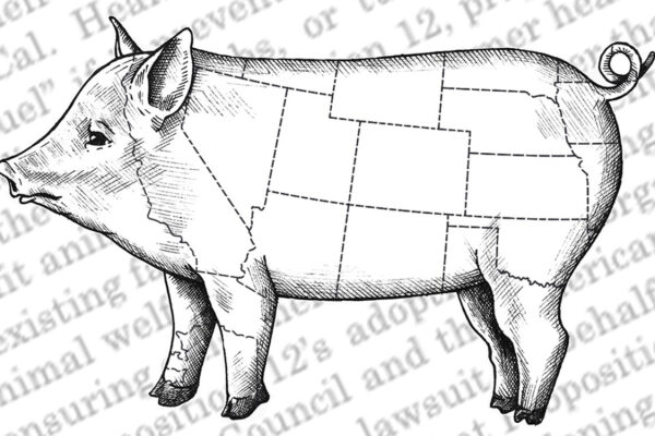 An illustration of a pork cut diagram, but the lines are actually U.S. state borders; the text of the Supreme Court decision in National Pork Producers Council v. Ross fills the background.
