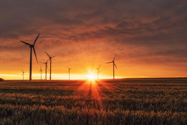 Wind turbines in a grassy field viewed at sunset