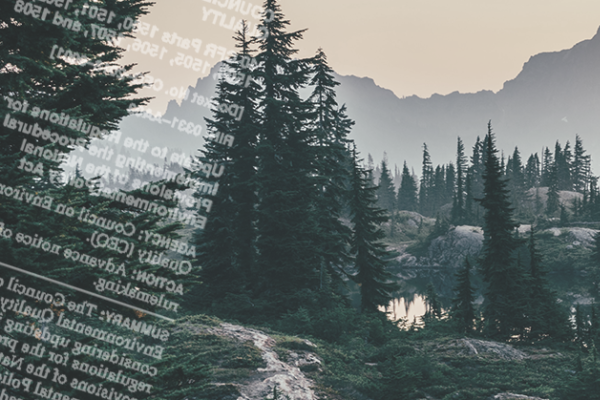 A forest of pines at sunset; a mountain in the background; legal text overlaid across the image.