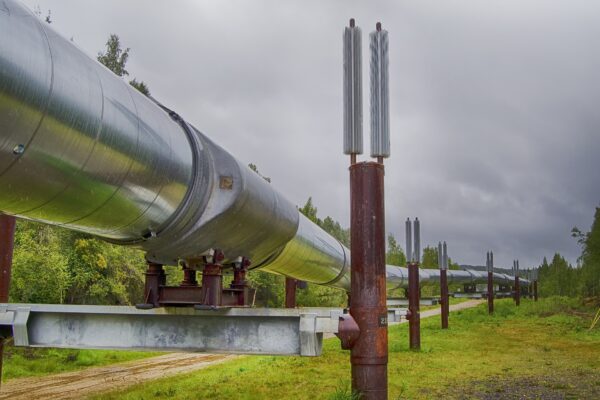 An above-ground pipeline weaving through a green wooded area