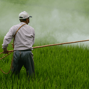 person spraying pesticide on a field