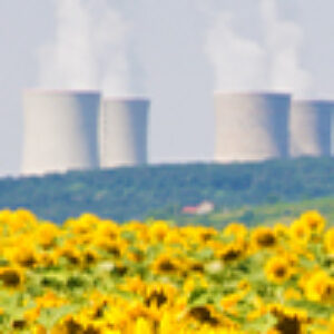 Bright yellow sunflowers in the foreground, a powerplant emitting smoke in the background